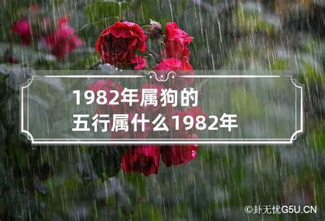 1982年五行|1982年属什么 1982年属什么五行